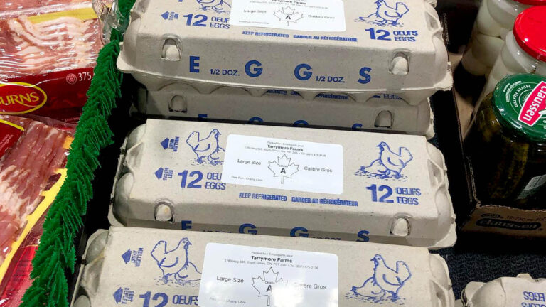 MLTS eggs 768x432