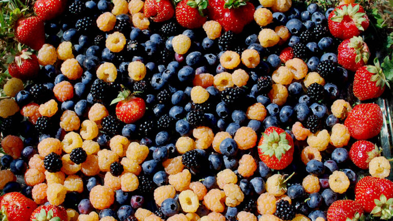 MMP superfruit 768x432