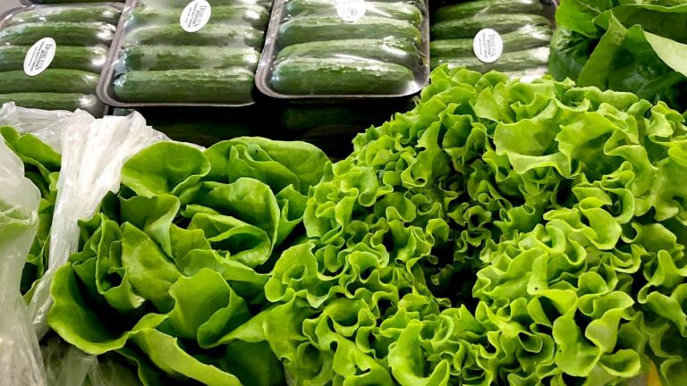 TBCM lettuce 768x432