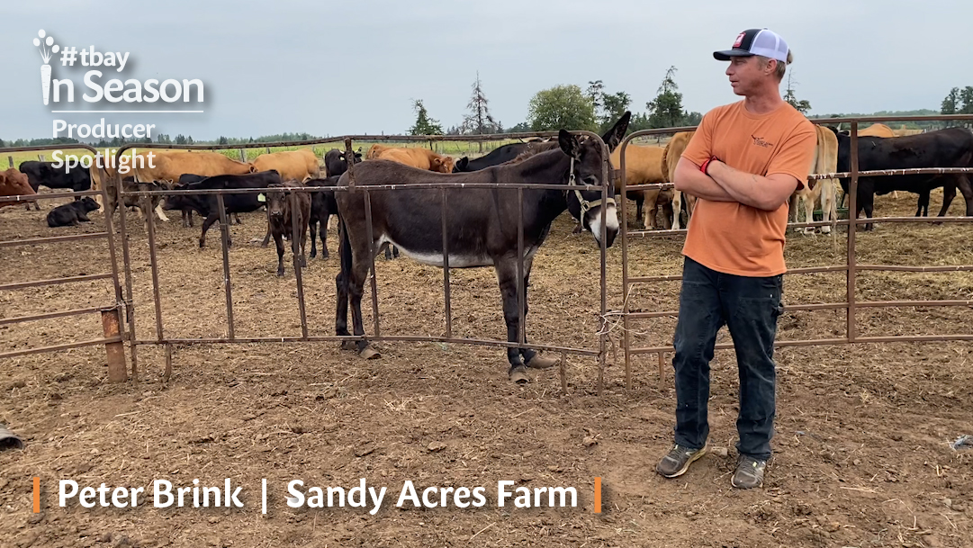 Producer Spotlight:  Sandy Acres Farm