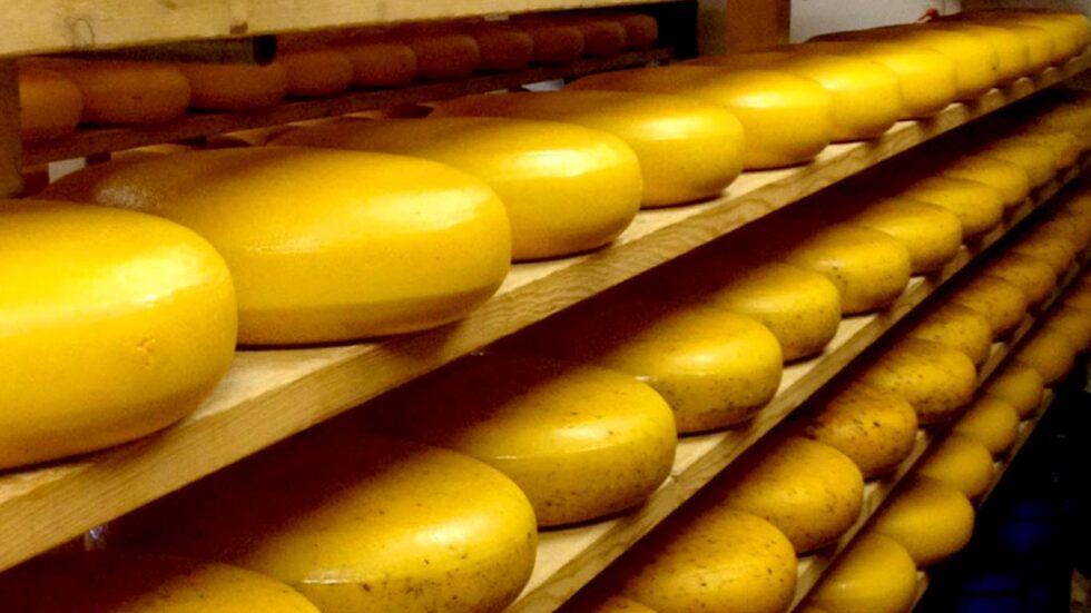 Thunder Oak Cheese Thunder Bay In Season